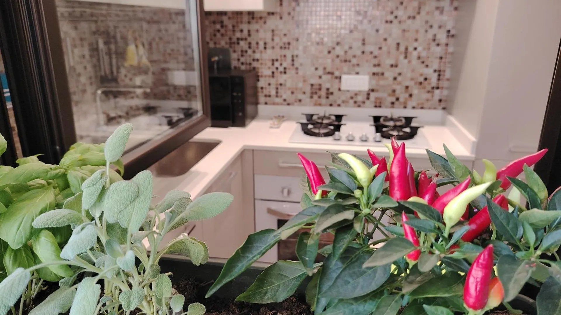 Sonia Appia Antica House - 5 Min To Colosseum Rome Apartment
